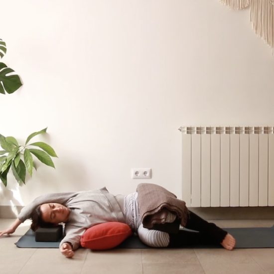 Recalibrar el sistema nervioso regulación cris aramburo online yoga