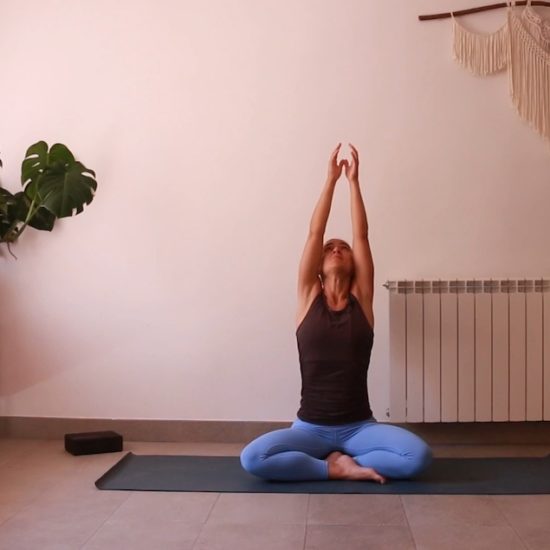 Autorregulación- Energía y conexión yoga con cris online embodiment sistema nervioso