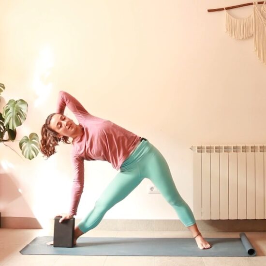 Consciencia Linea Posterior yoga con cris aramburo embodiment online