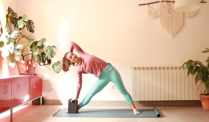 Consciencia Linea Posterior yoga con cris aramburo embodiment online